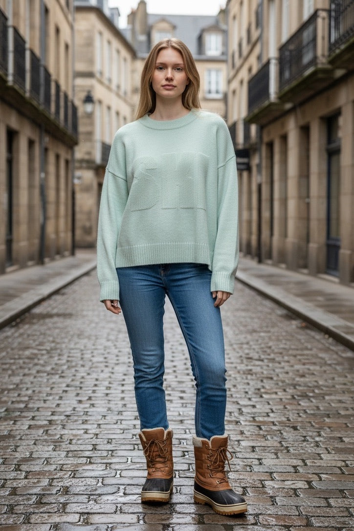 Colorush Chunky Ski Crew Sweater in Morning Dew by Sierra Deene