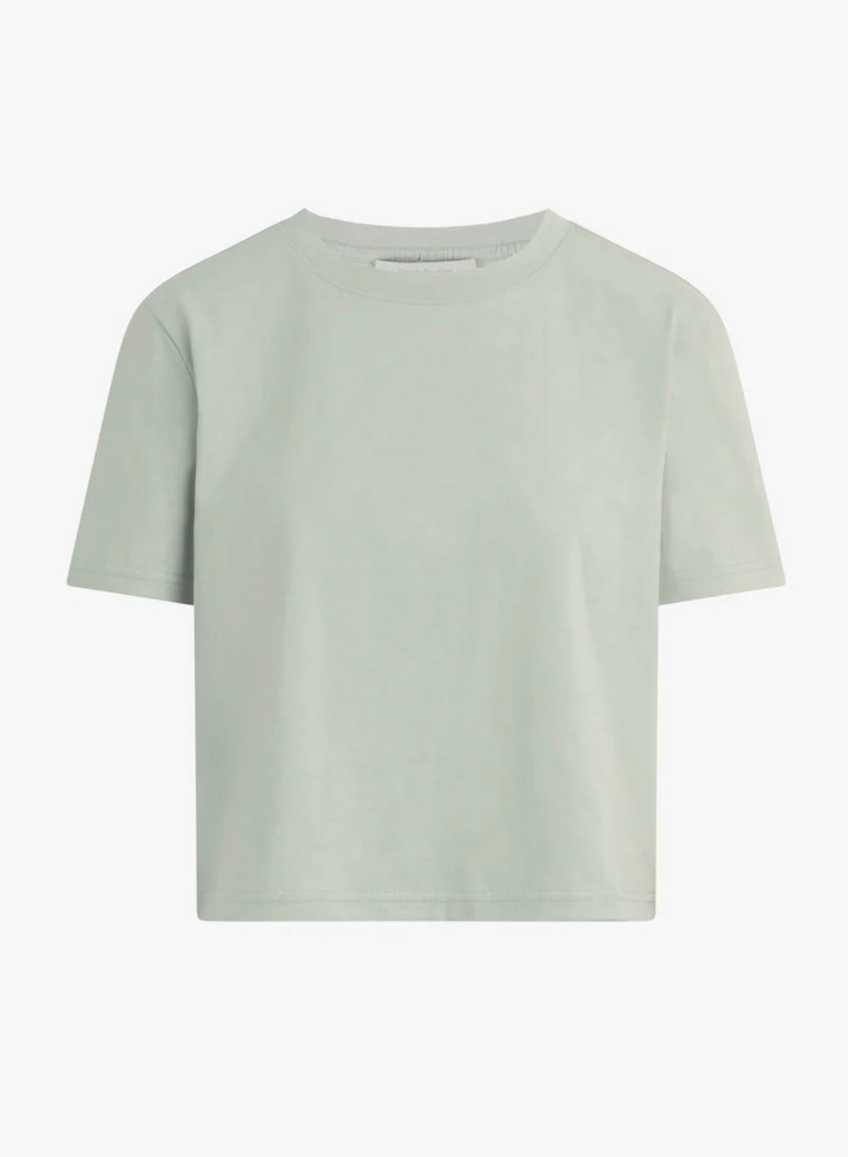 Favorite Daughter The Organic Tee in Light Sage by Sierra Deene