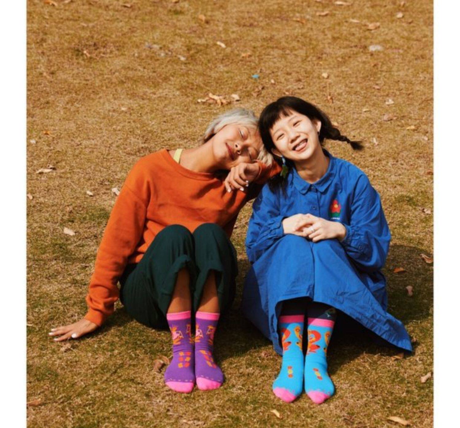 Kawaii Zodiac Cartoon Socks – uodycoco by Land Decora
