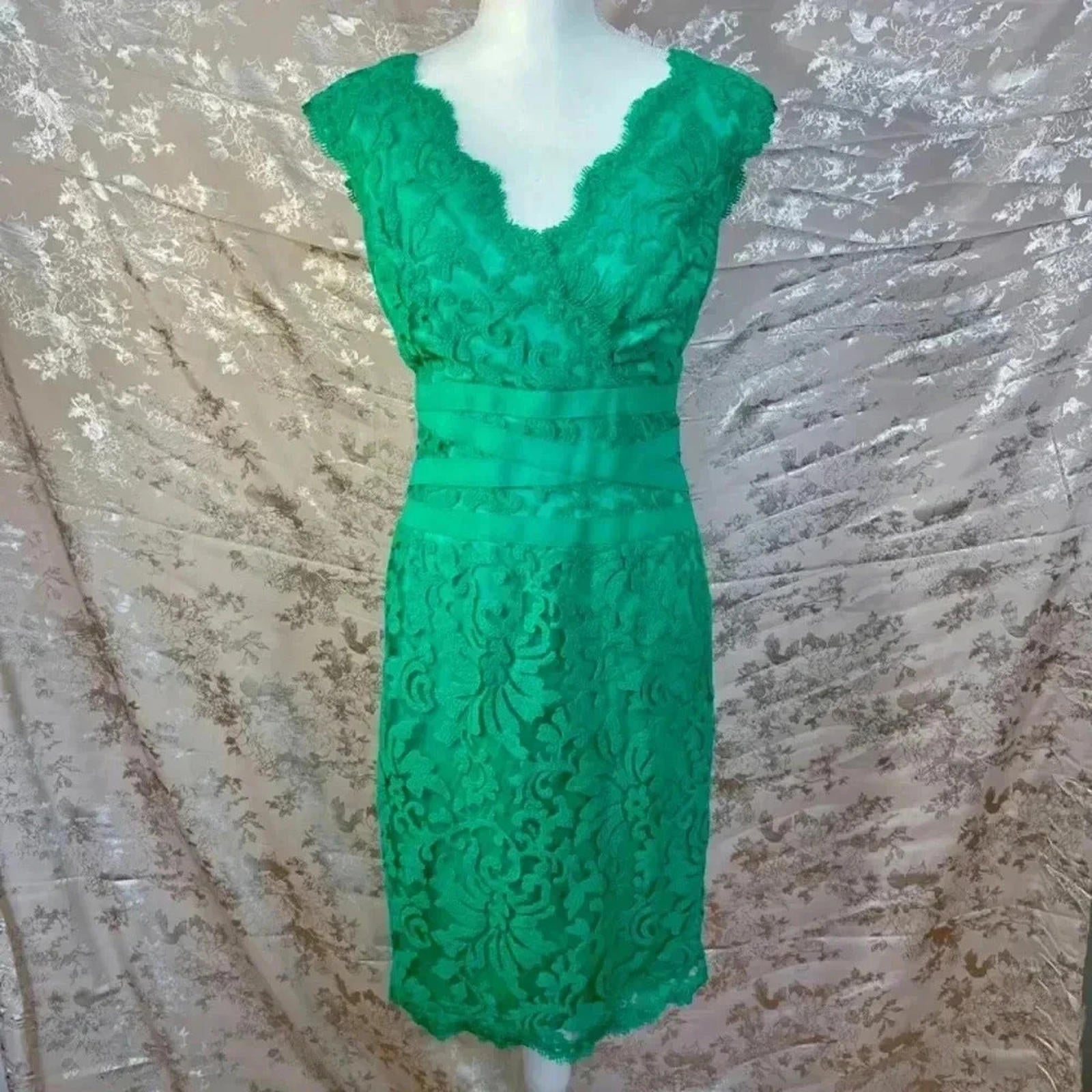 Tadashi Shoji Embroidered Lace V Neck Dress Cocktail Dress Size 8 by Hot Girl Secondhand