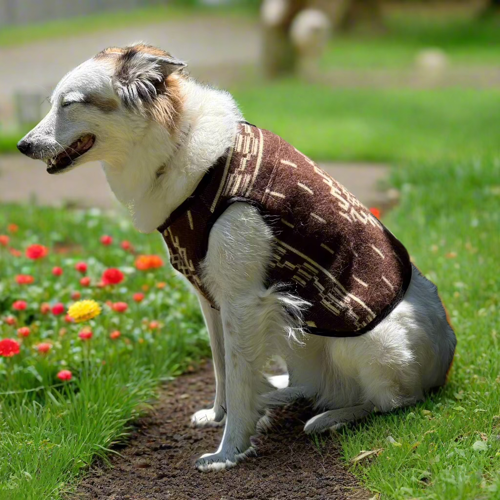 Handcrafted Clint Eastwood-Inspired Dog Poncho by ECUALAMA