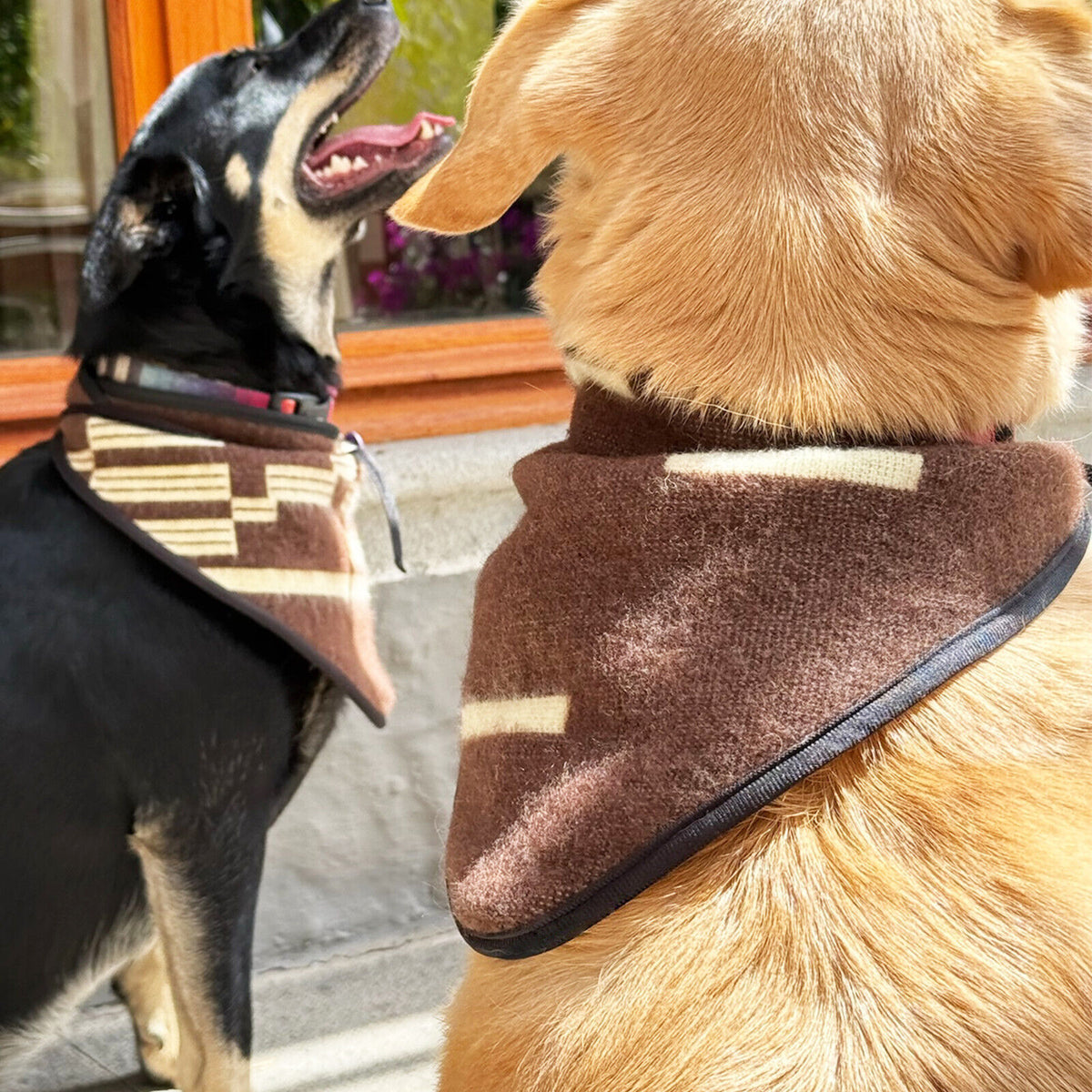Set of 3 Handcrafted Clint Eastwood-Inspired Dog Bandanas by ECUALAMA