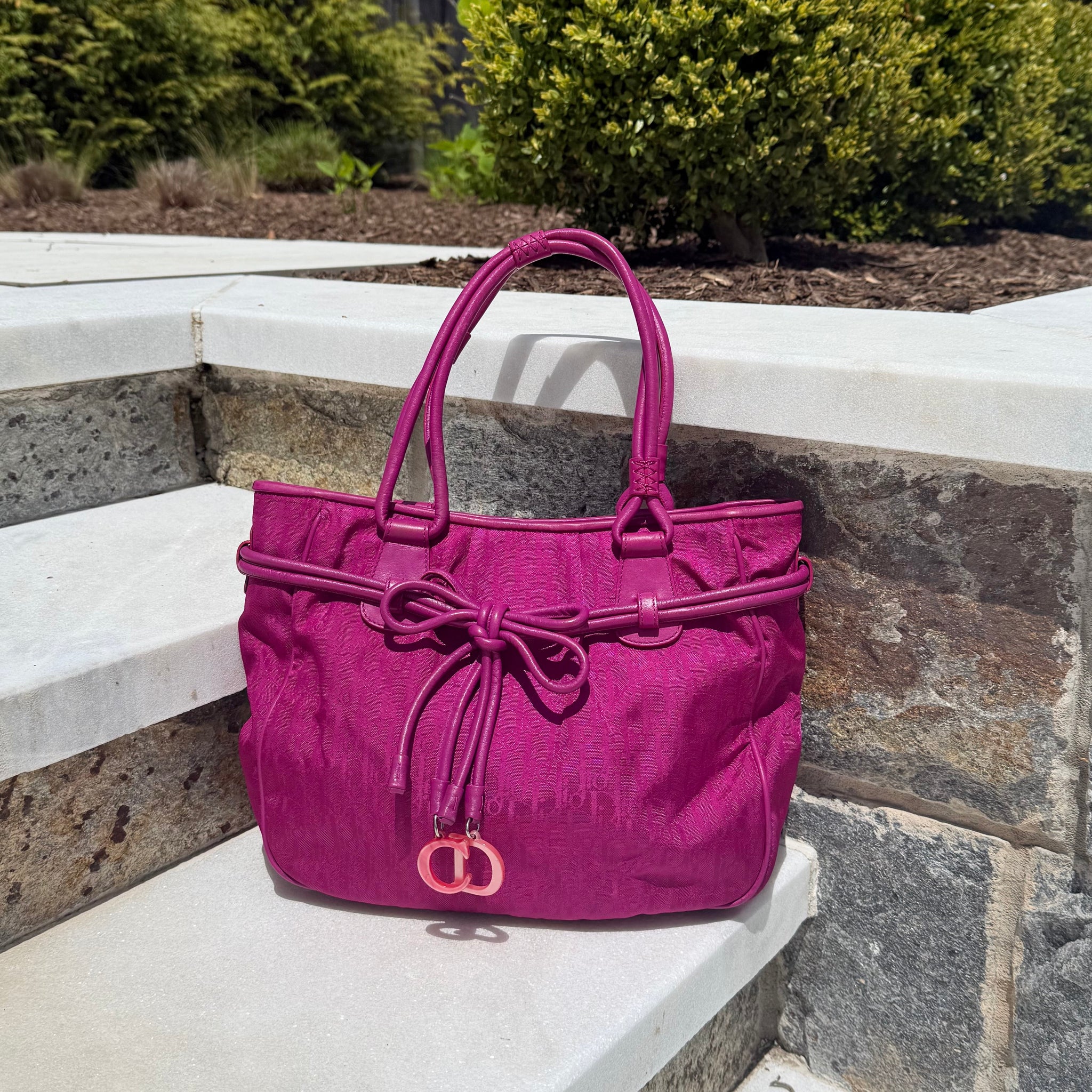 Dior Lovely Trotter Tote by The Vintage New Yorker
